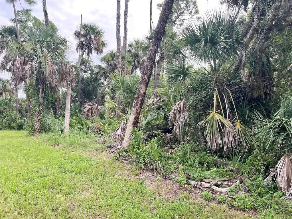 13500 Sedgwick Avenue Port Charlotte FL 33953
