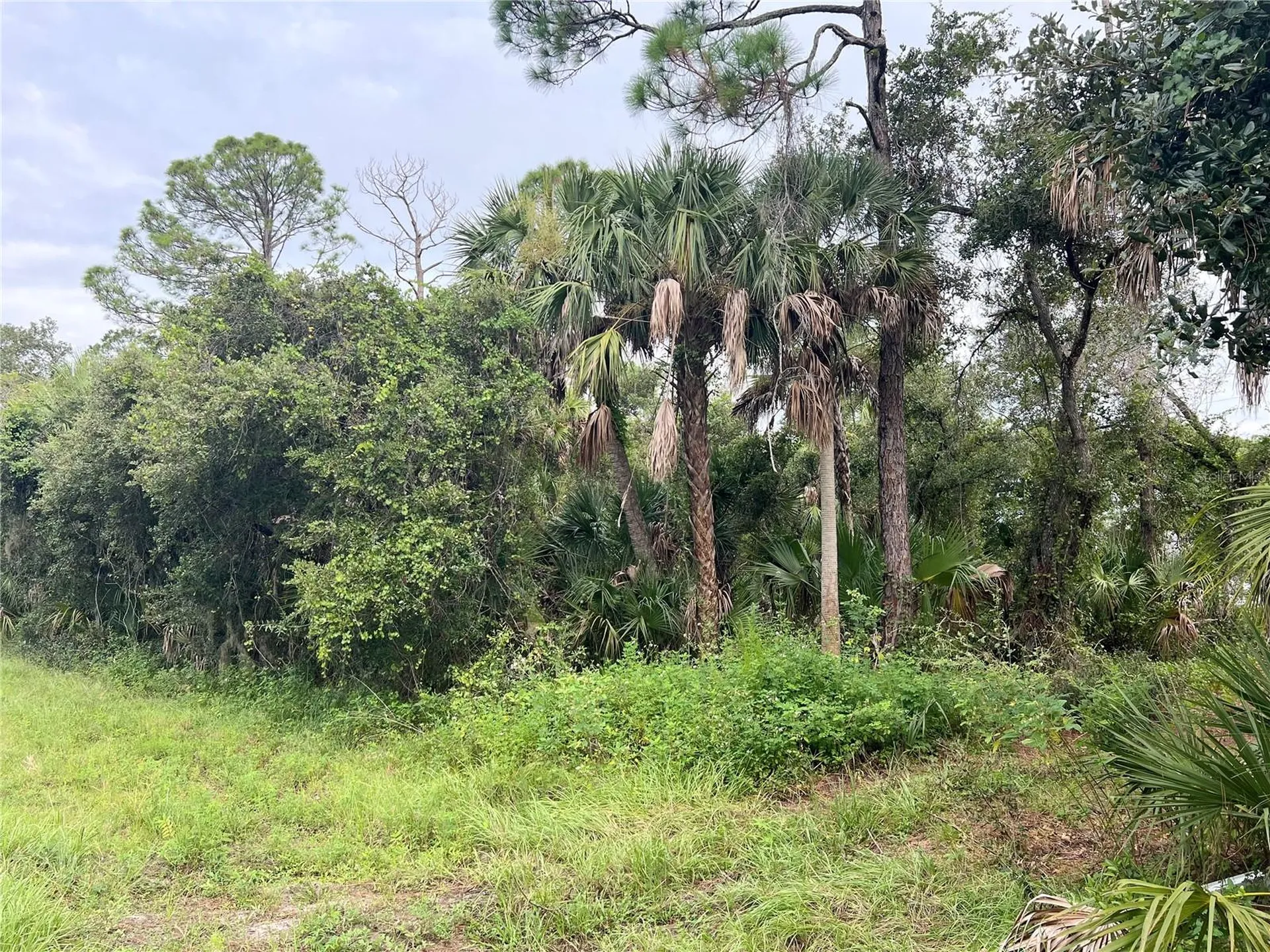 13500 Sedgwick Avenue Port Charlotte FL 33953