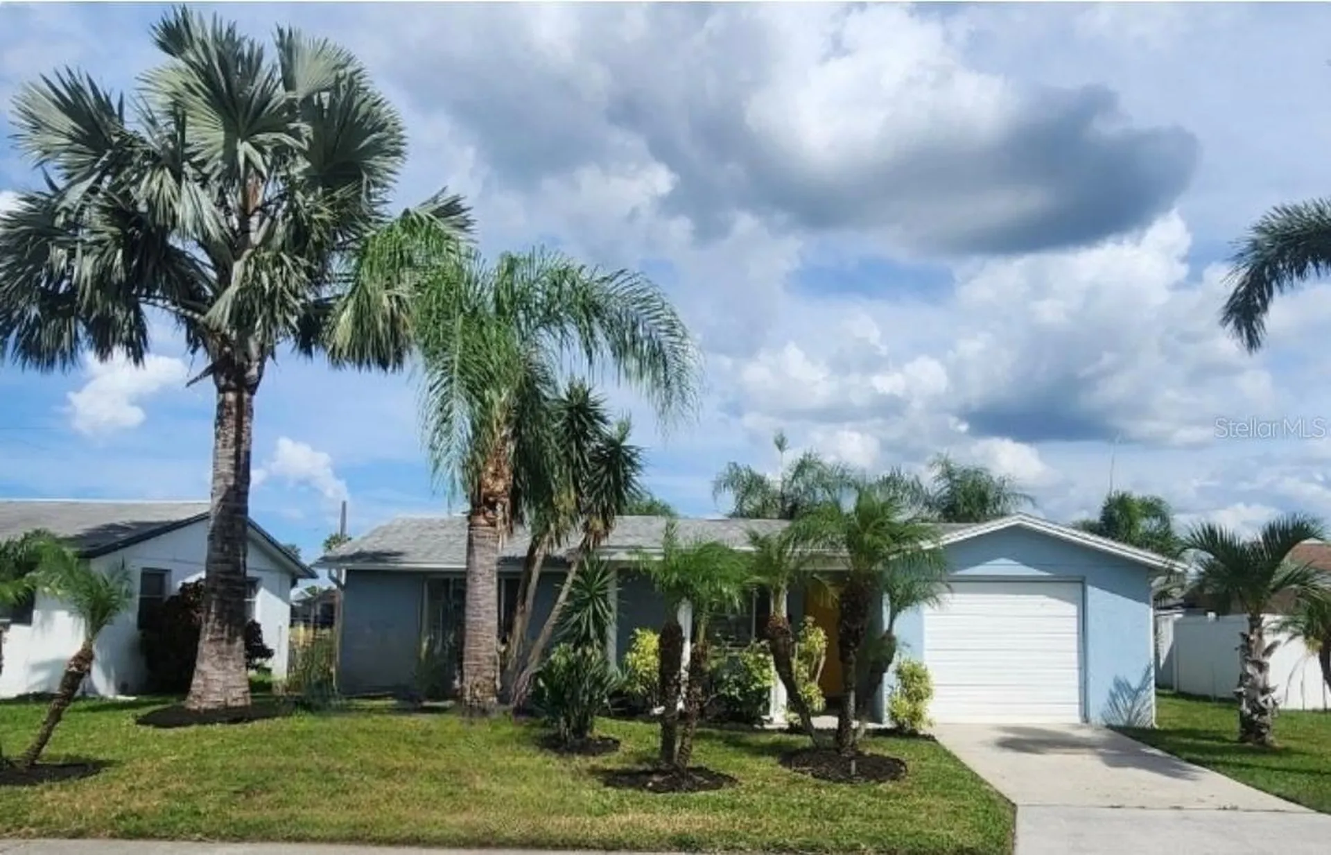 2228 Society Drive Holiday FL 34691