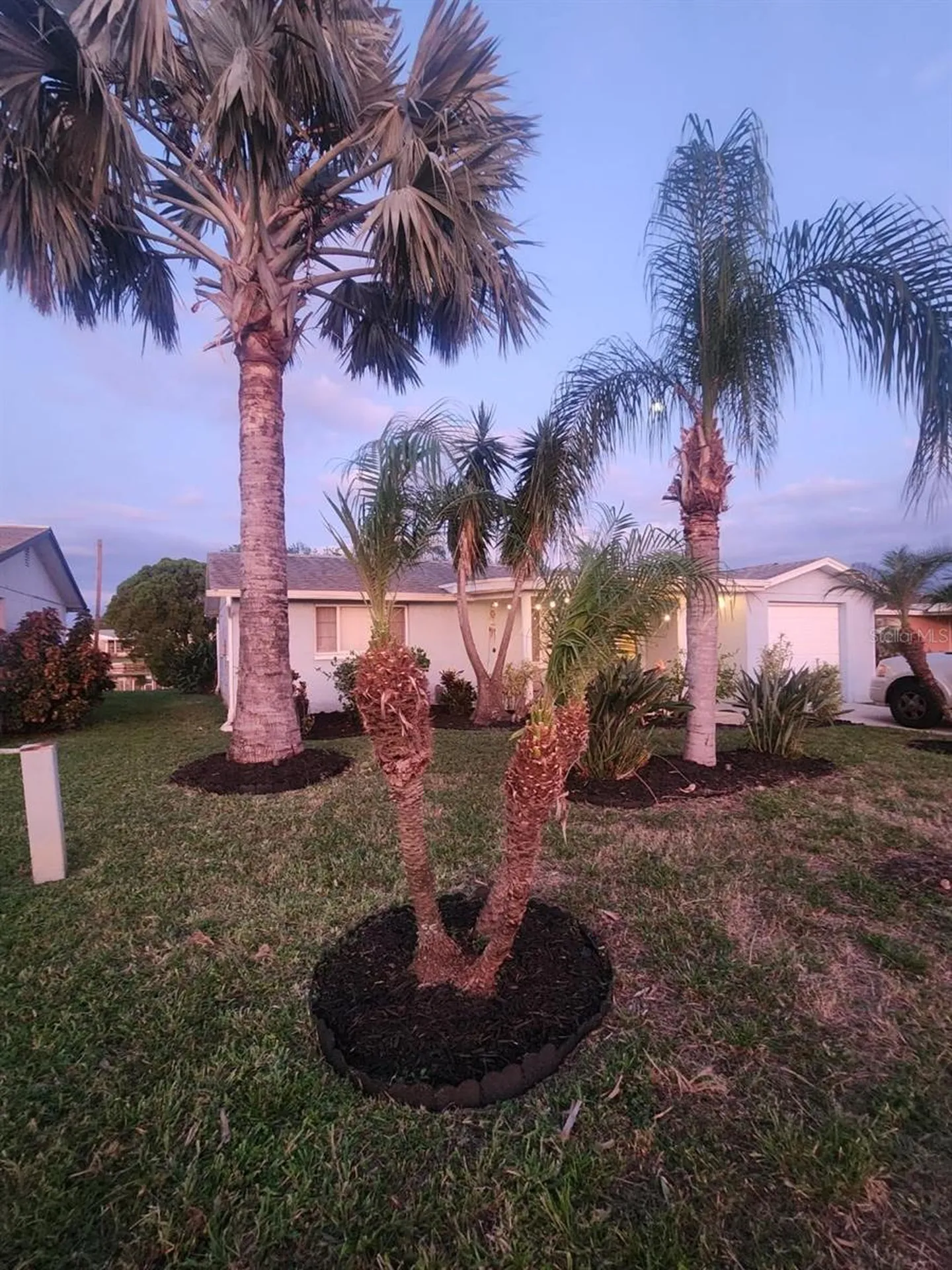 2228 Society Drive Holiday FL 34691