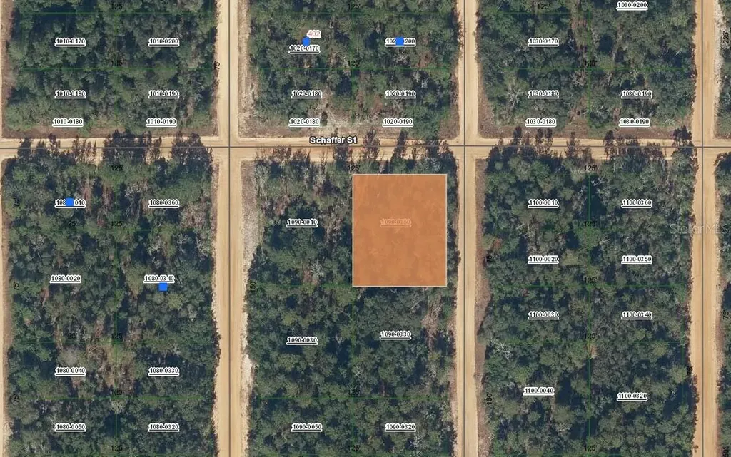 00 Shappell Avenue Interlachen FL 32148