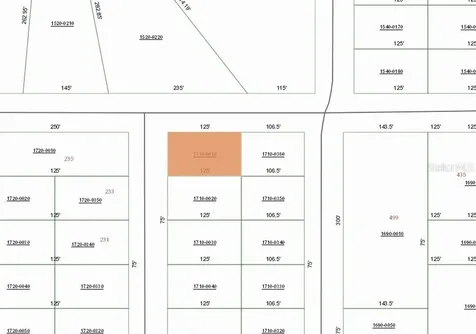 00 Lenore Avenue Interlachen FL 32148