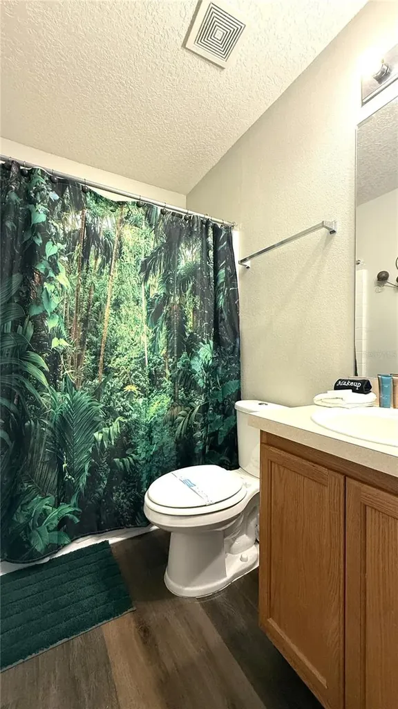 339 Sigmund Loop Davenport FL 33837