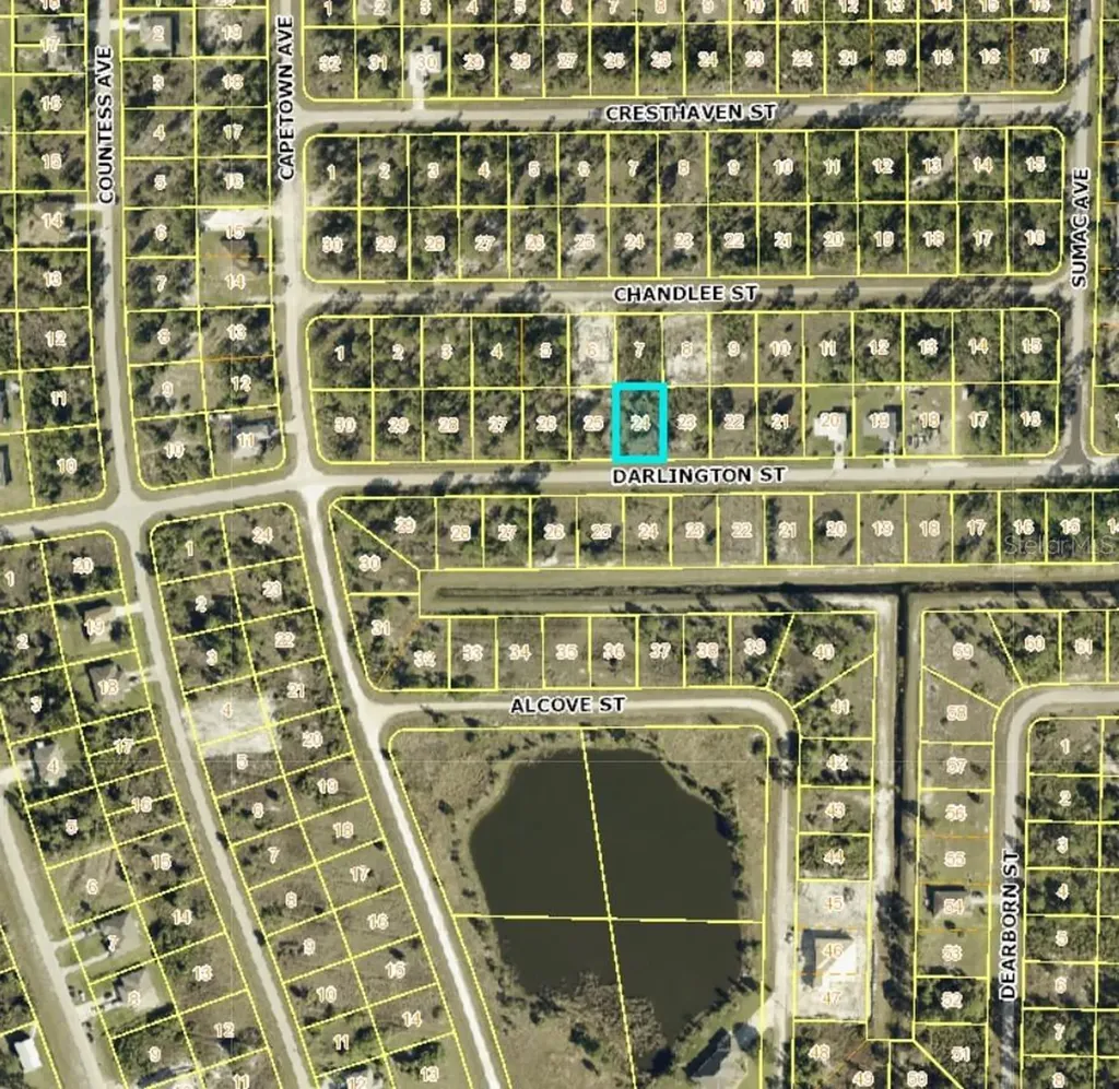 1035 Darlington Street Lehigh Acres FL 33974