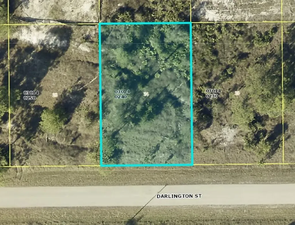 1035 Darlington Street Lehigh Acres FL 33974