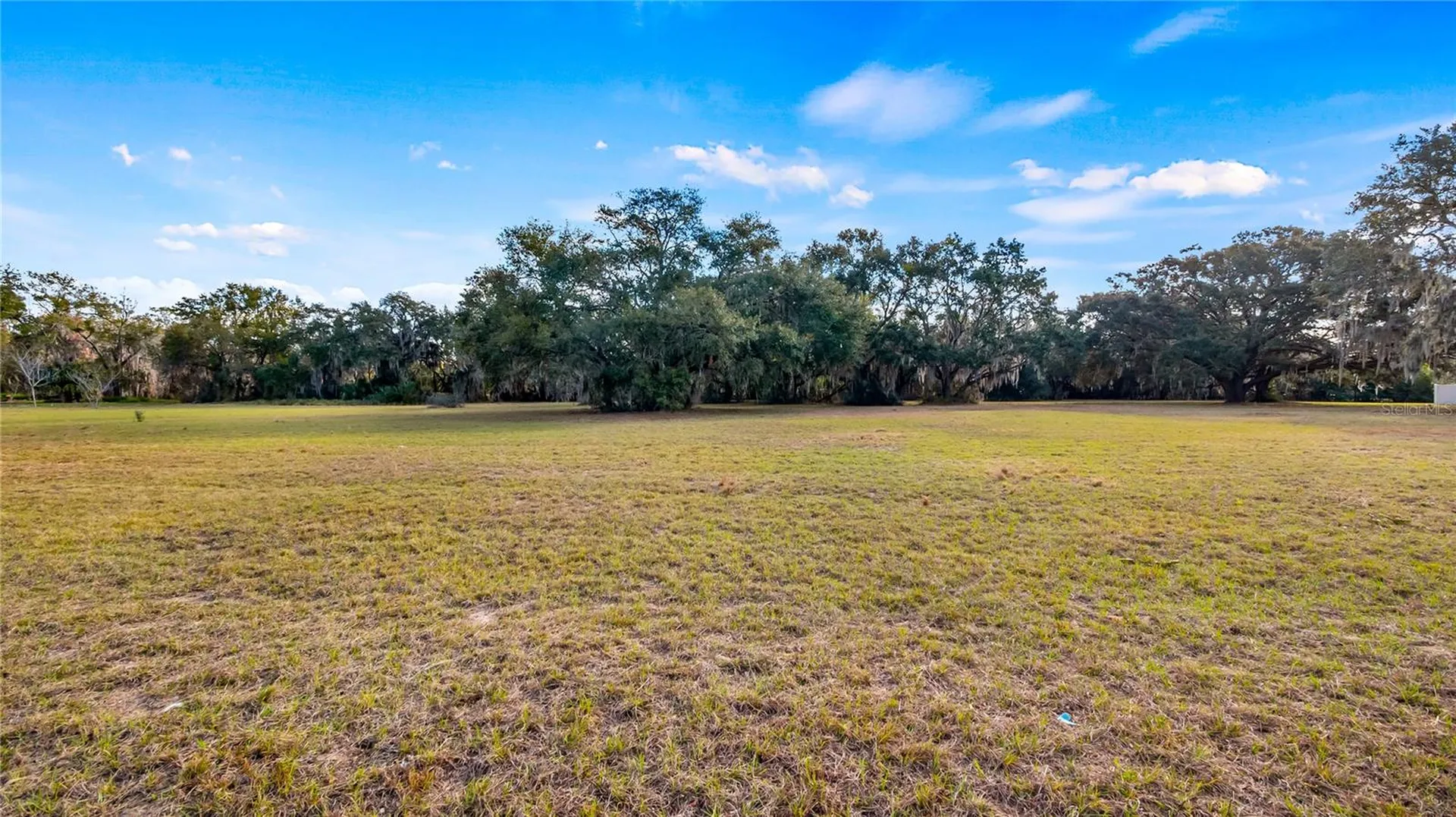Woodlea Road Tavares FL 32778