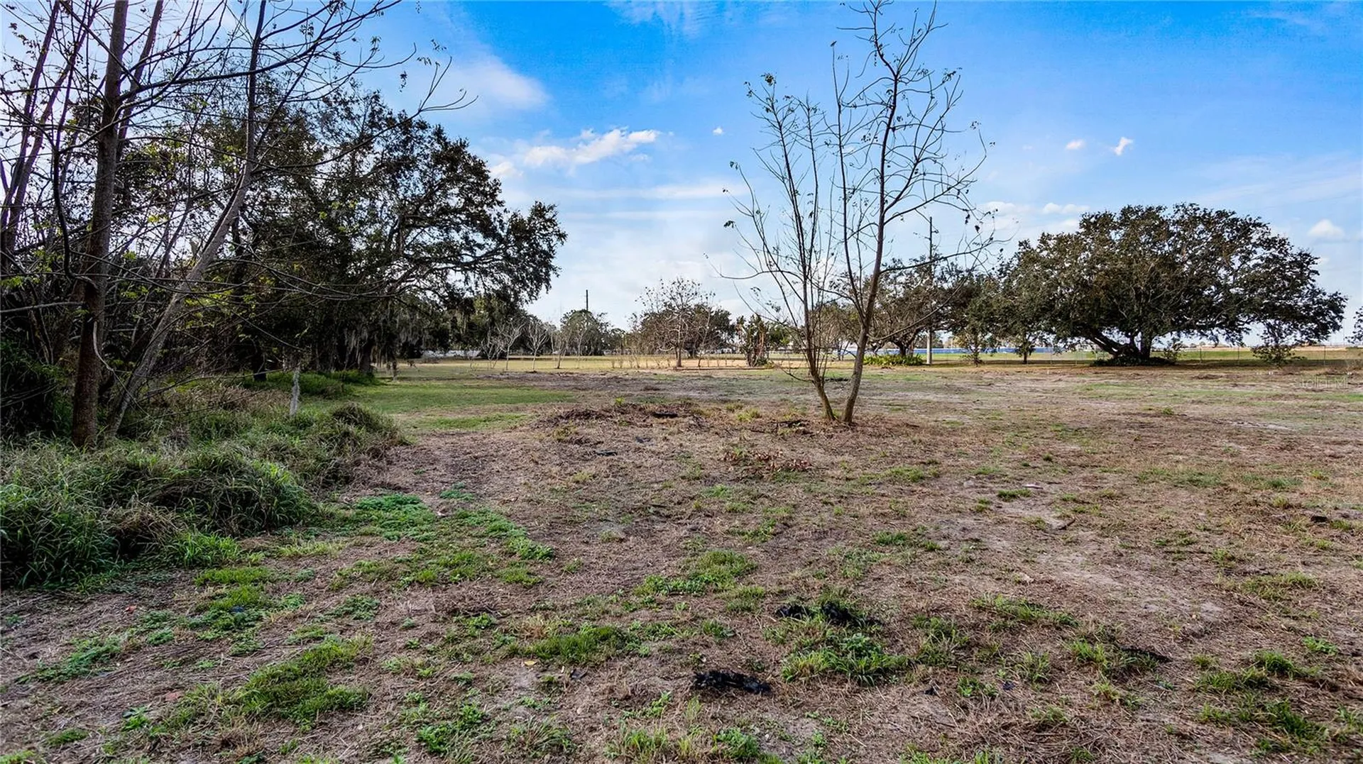Woodlea Road Tavares FL 32778