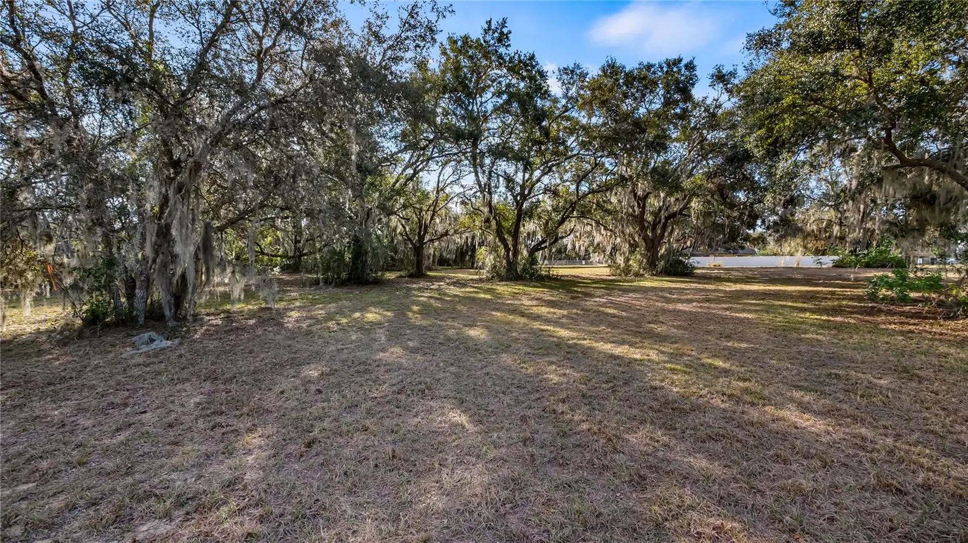 Woodlea Road Tavares FL 32778