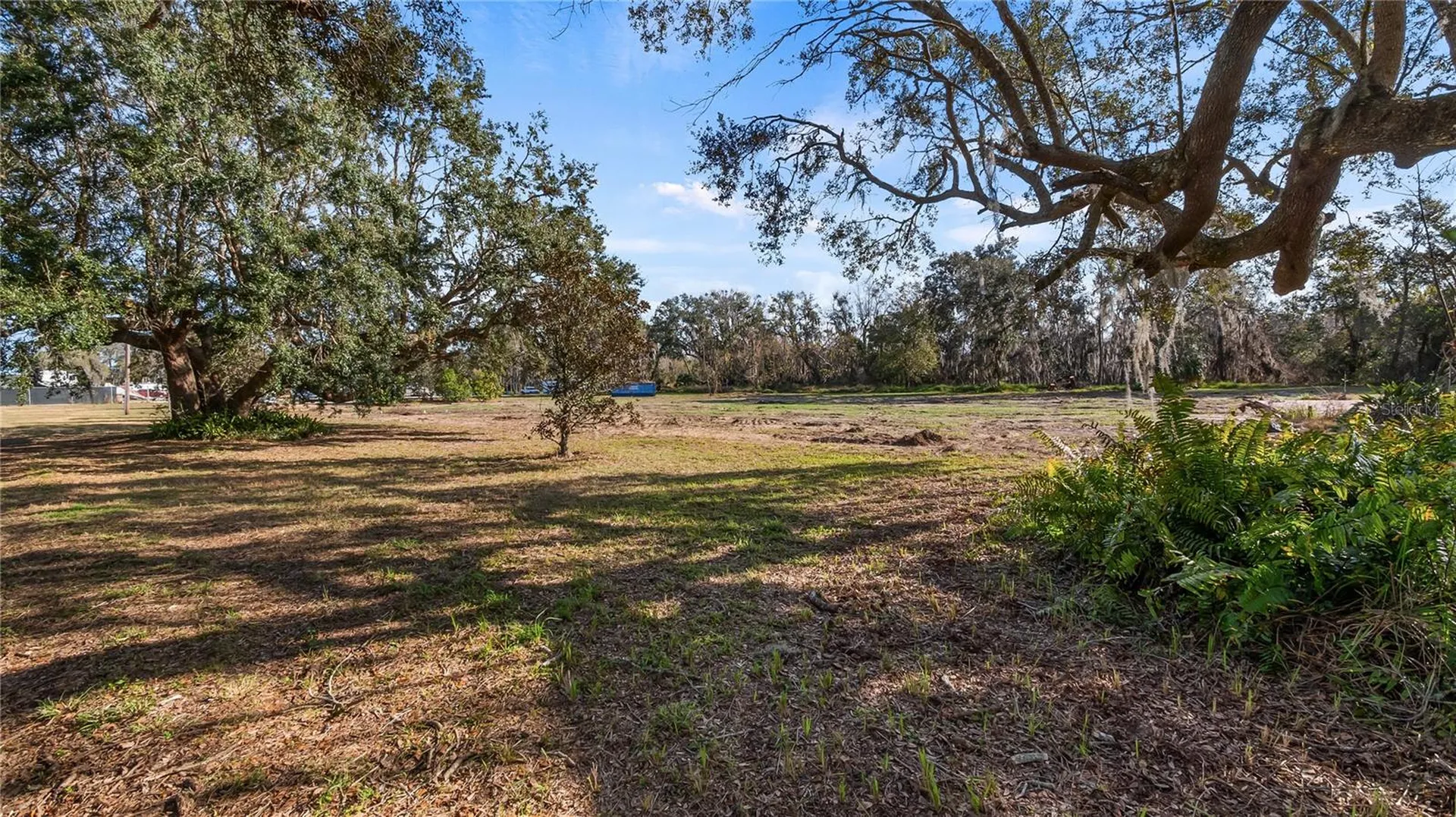 Woodlea Road Tavares FL 32778