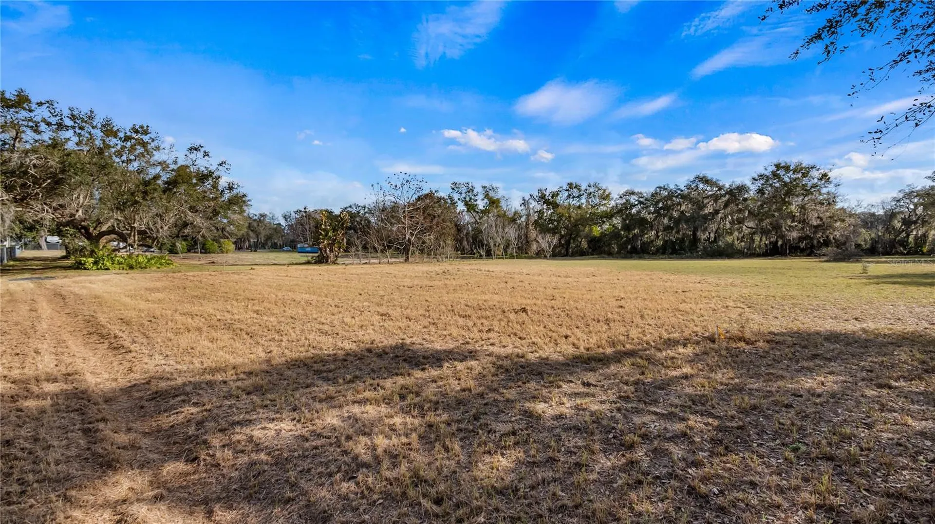 Woodlea Road Tavares FL 32778