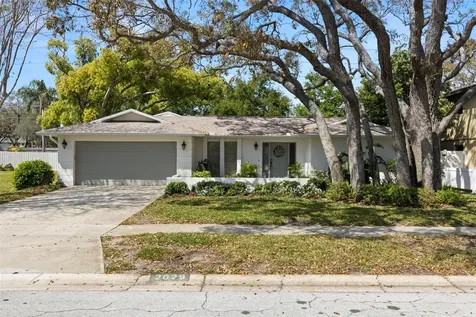 2029 Winding Oaks Drive Palm Harbor FL 34683