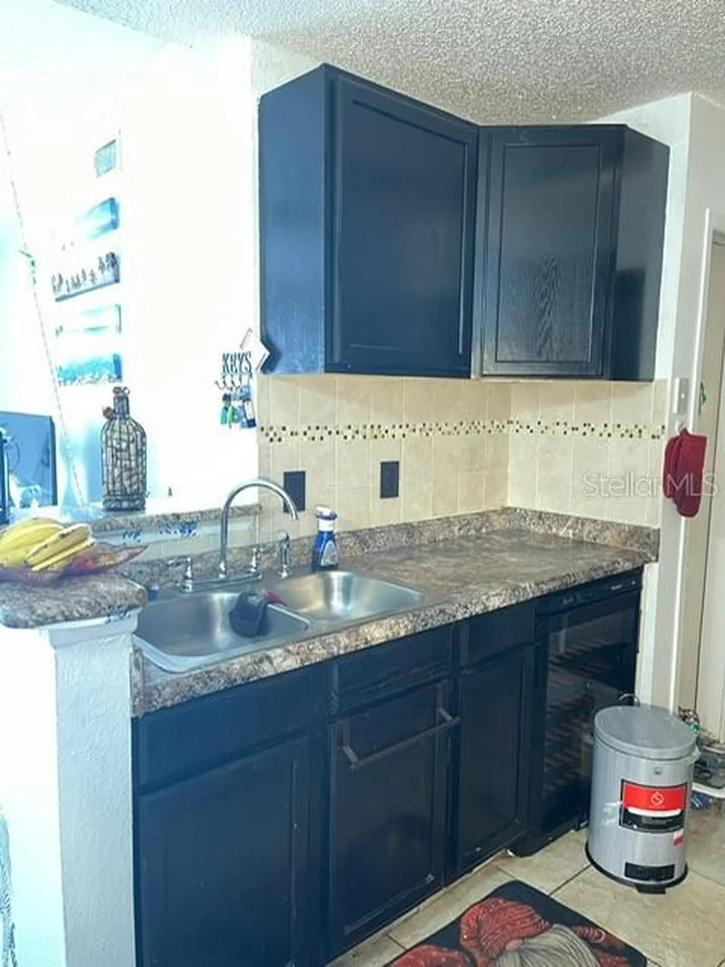 2131 Cascades Boulevard Kissimmee FL 34741