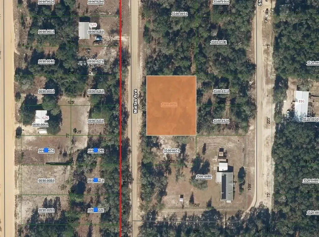 00 Maltas Avenue Interlachen FL 32148