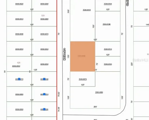 00 Maltas Avenue Interlachen FL 32148