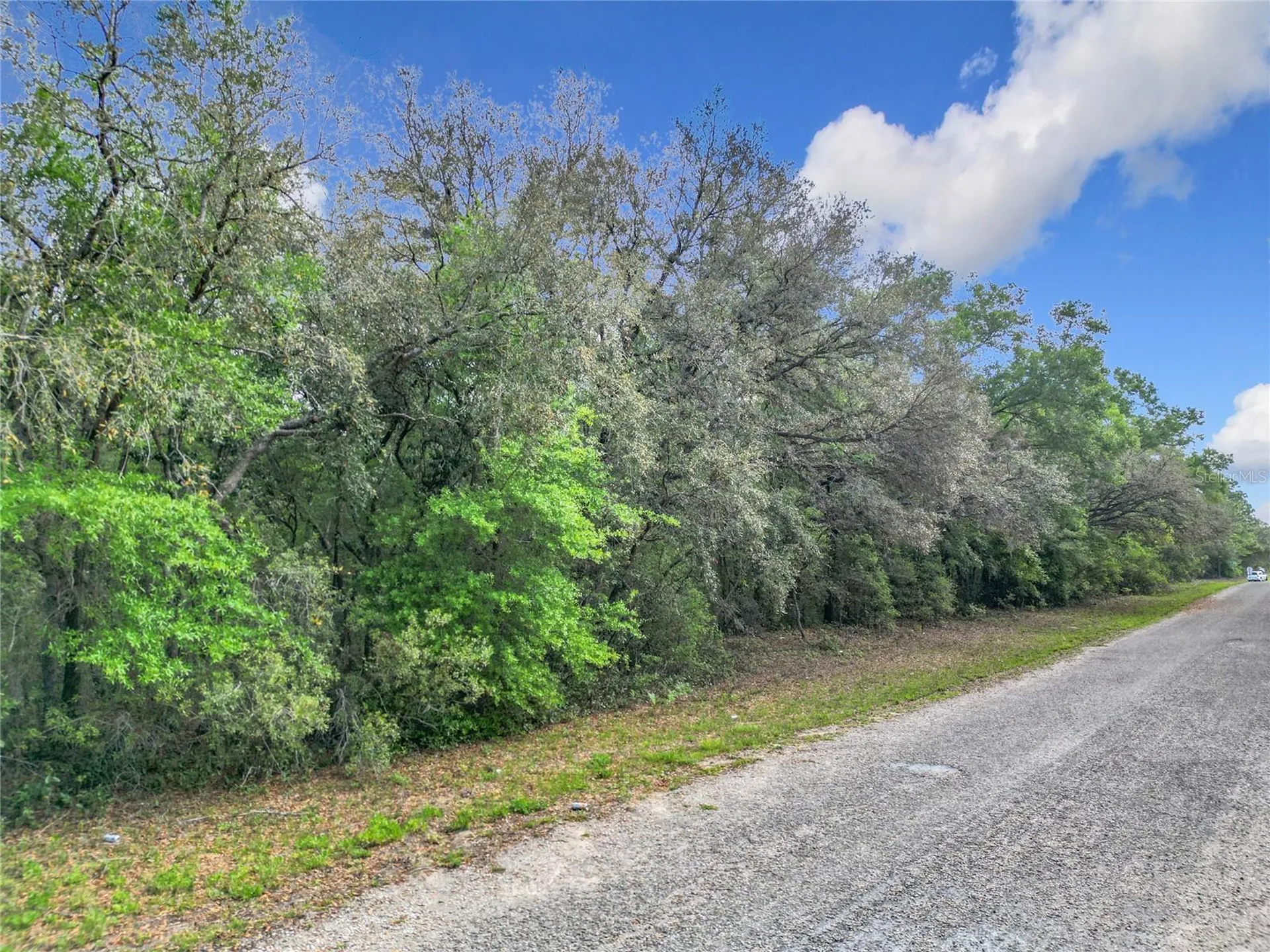 8808 N Deltona Boulevard Citrus Springs FL 34434