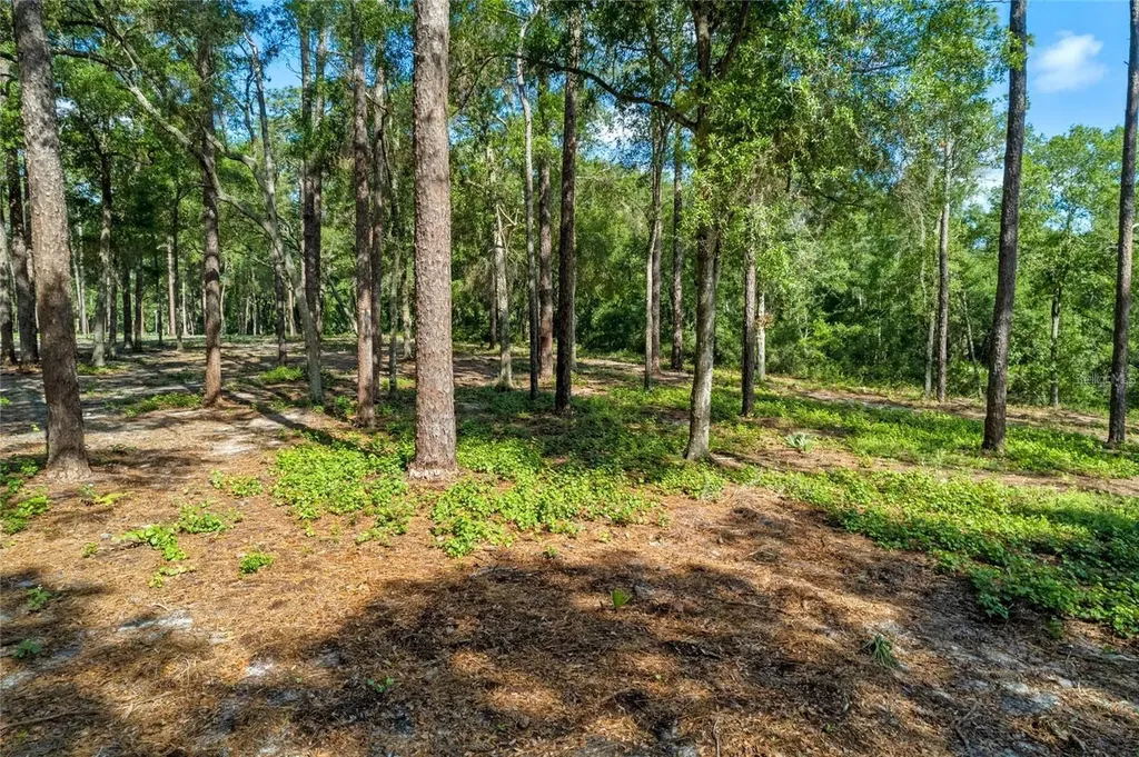 29901 State Road 44 Eustis FL 32736