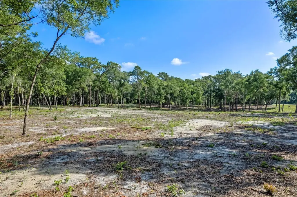 29901 State Road 44 Eustis FL 32736