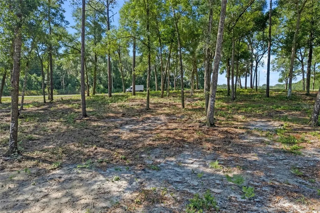 29901 State Road 44 Eustis FL 32736