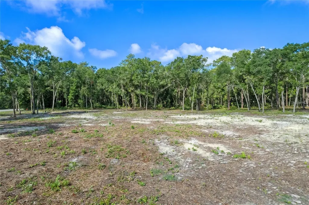 29901 State Road 44 Eustis FL 32736
