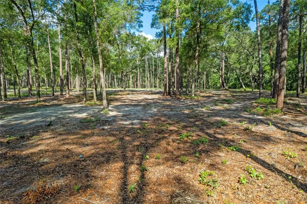 29901 State Road 44 Eustis FL 32736