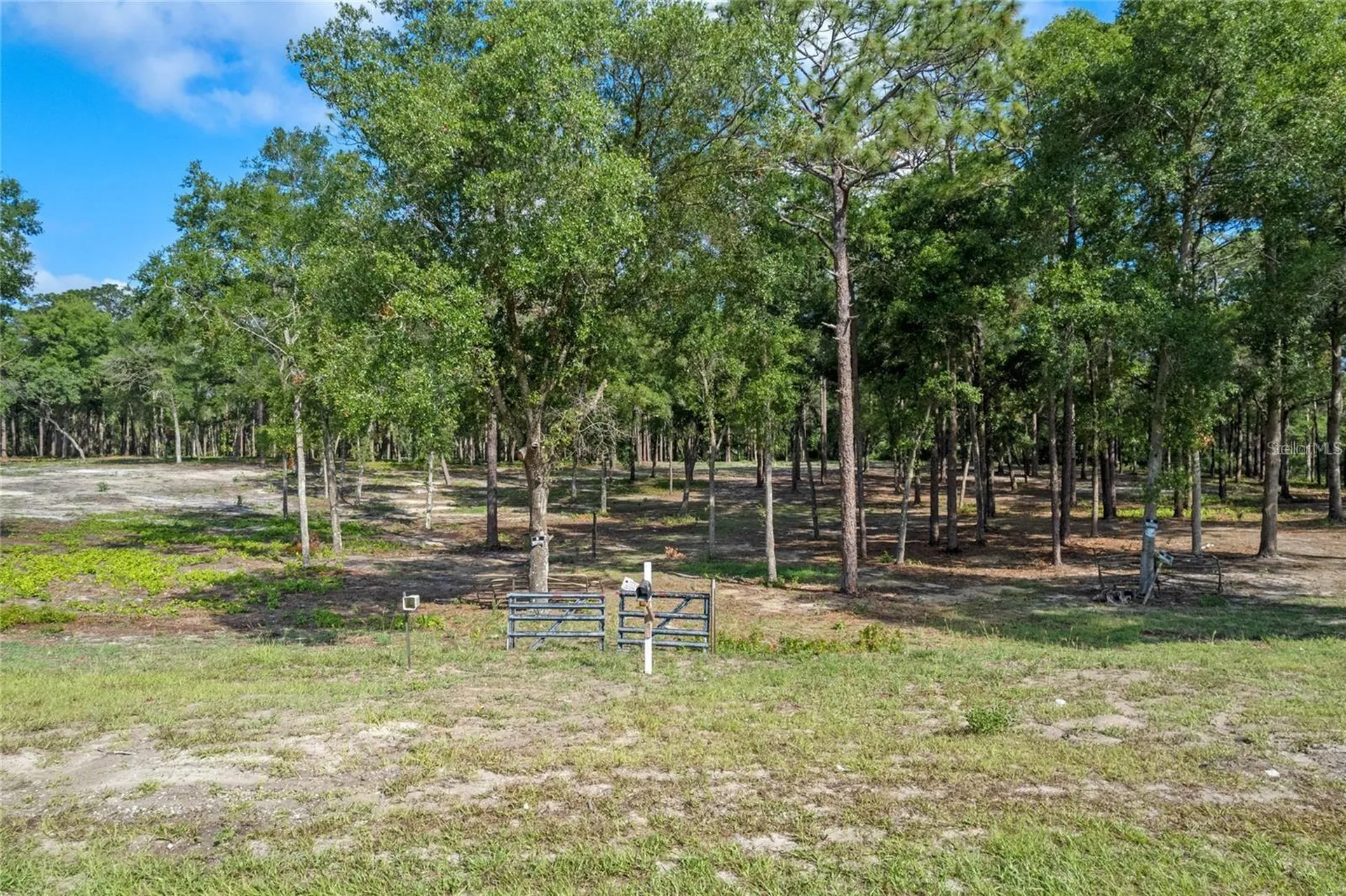 29901 State Road 44 Eustis FL 32736