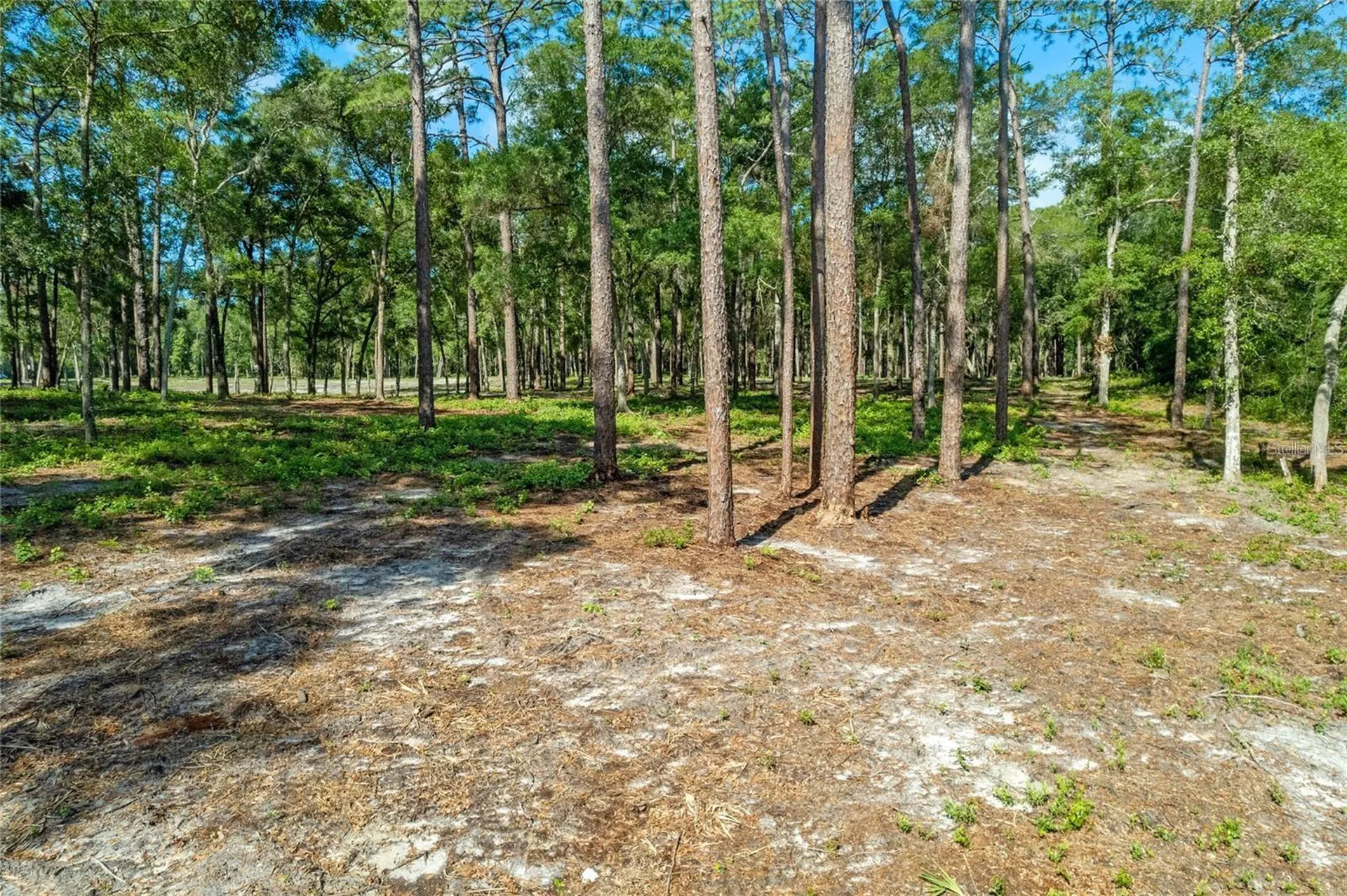 29901 State Road 44 Eustis FL 32736