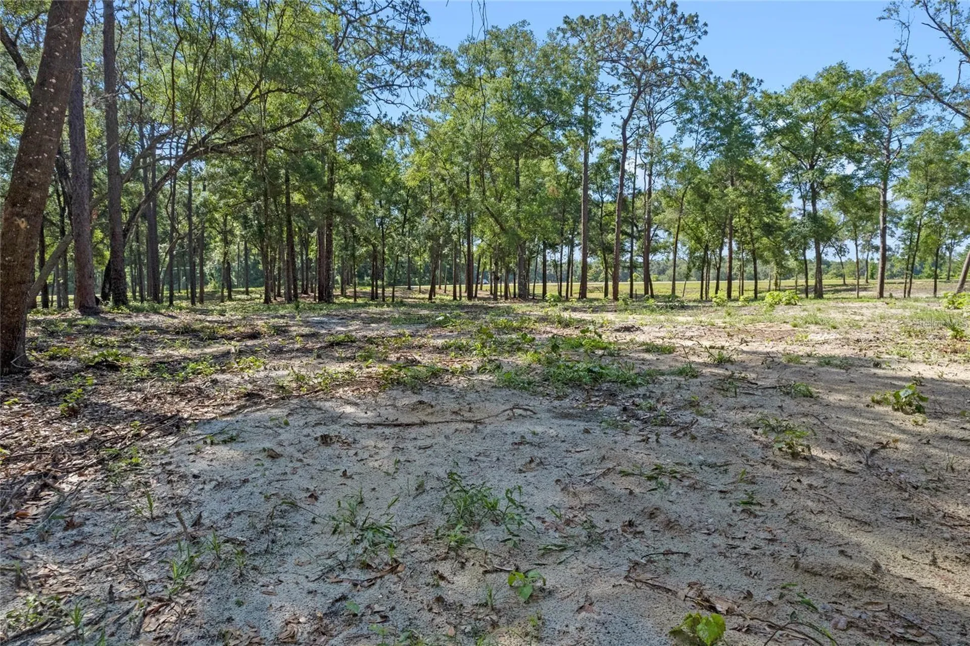 29901 State Road 44 Eustis FL 32736