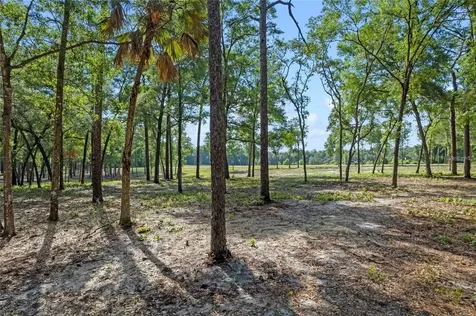 29901 State Road 44 Eustis FL 32736