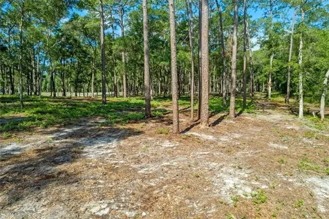 29901 State Road 44 Eustis FL 32736