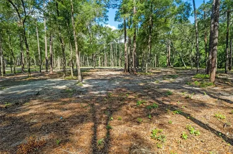 29901 State Road 44 Eustis FL 32736