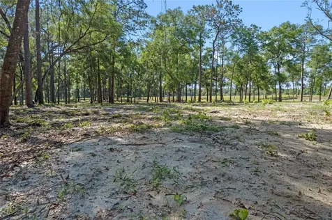 29901 State Road 44 Eustis FL 32736
