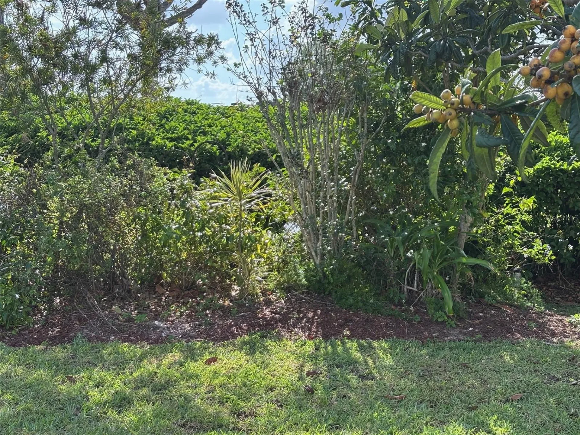 6107 Grand Oaks Drive SE Winter Haven FL 33884