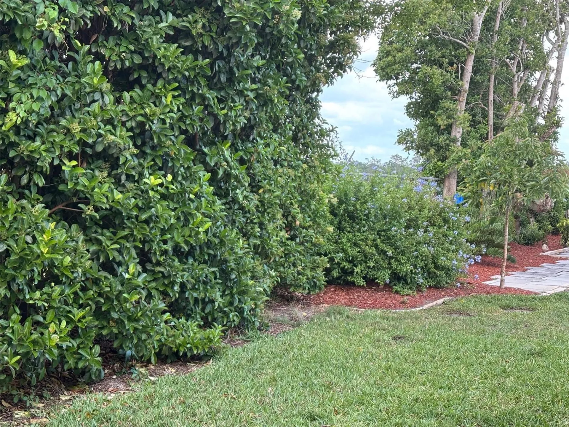 6107 Grand Oaks Drive SE Winter Haven FL 33884