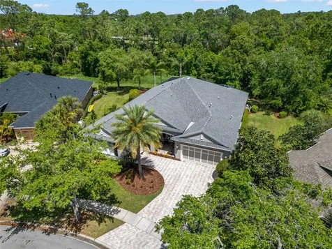14817 Tudor Chase Drive Tampa FL 33626