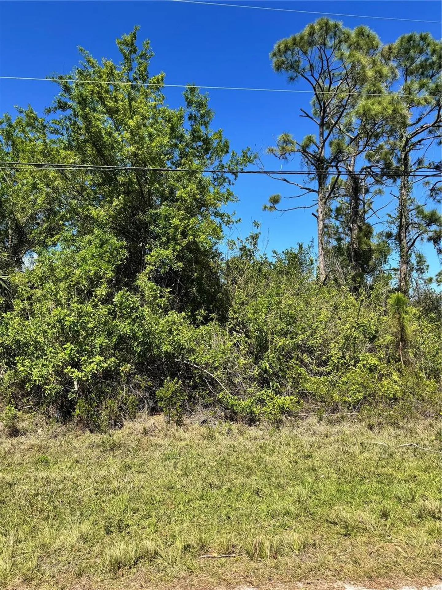14400 Pocono Avenue Port Charlotte FL 33981