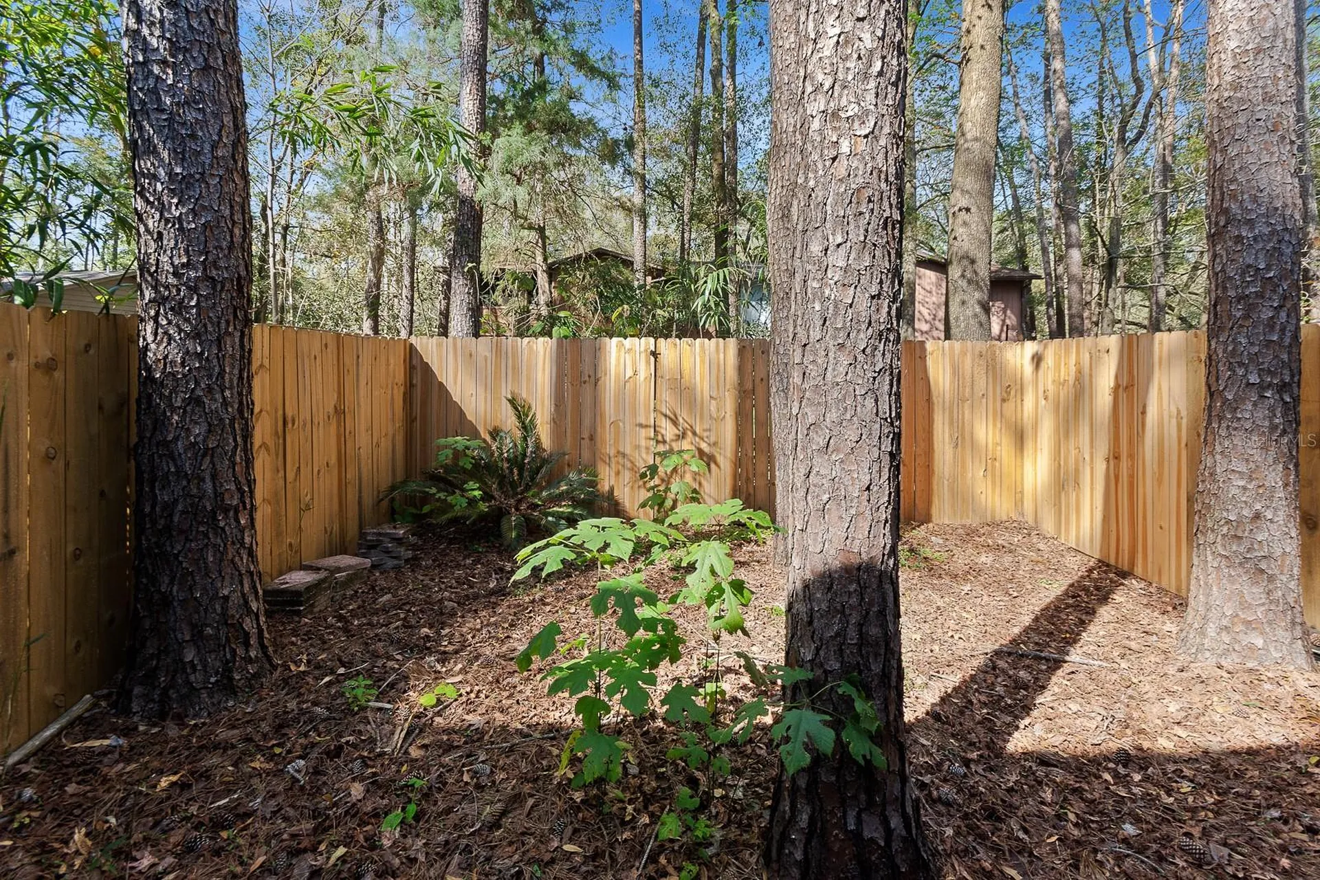 6926 SW 45th Avenue Gainesville FL 32608