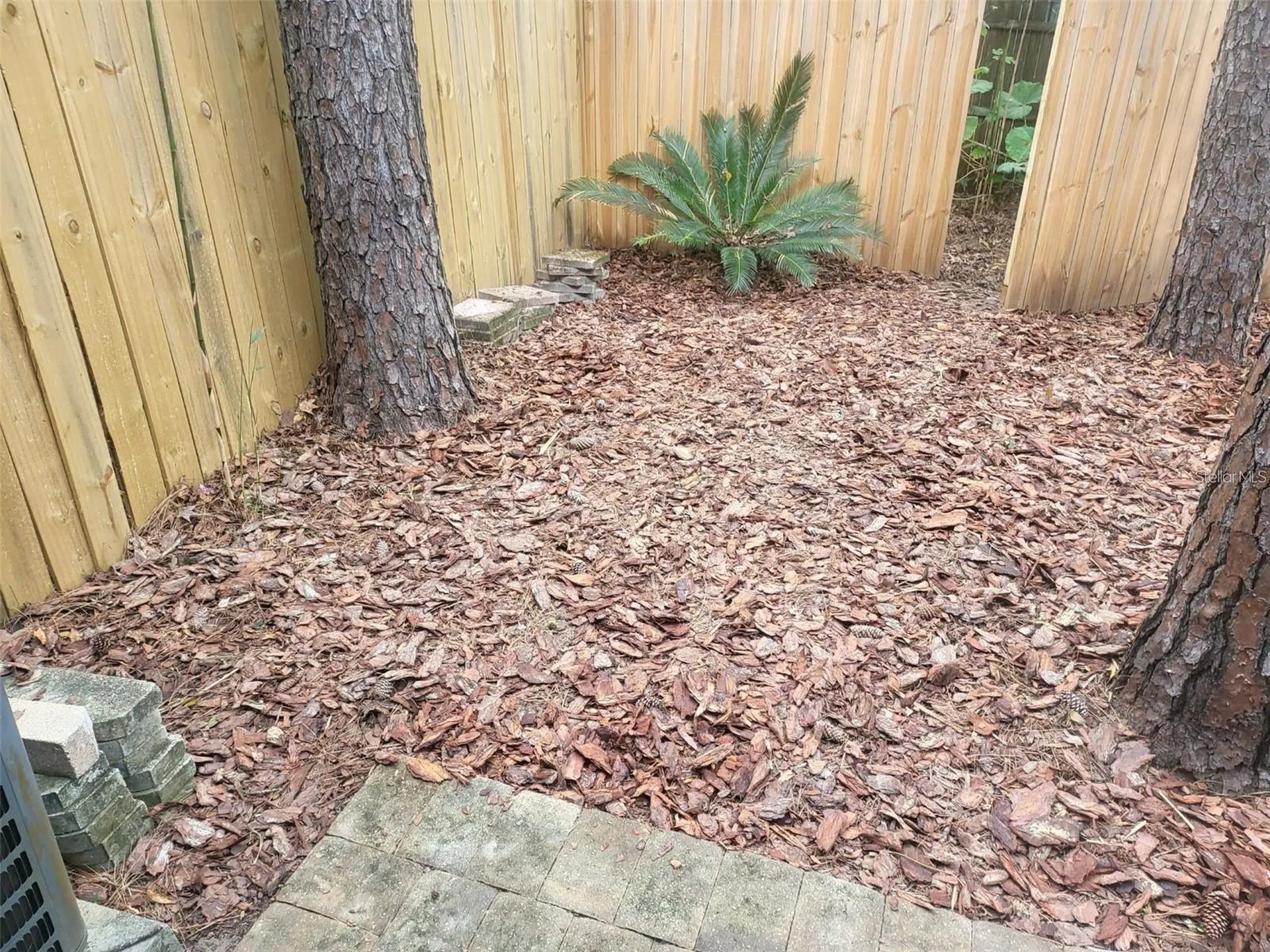 6926 SW 45th Avenue Gainesville FL 32608
