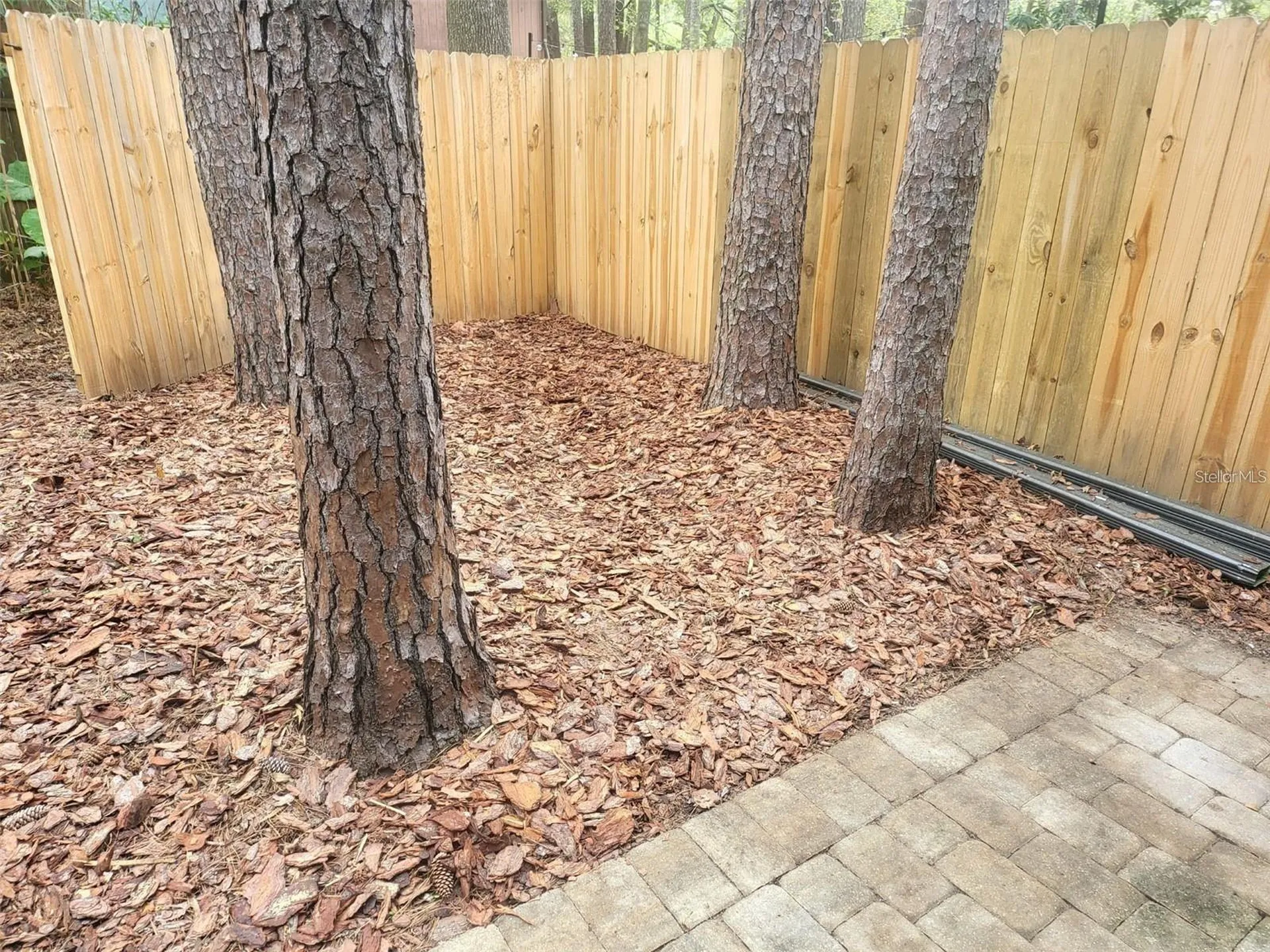 6926 SW 45th Avenue Gainesville FL 32608