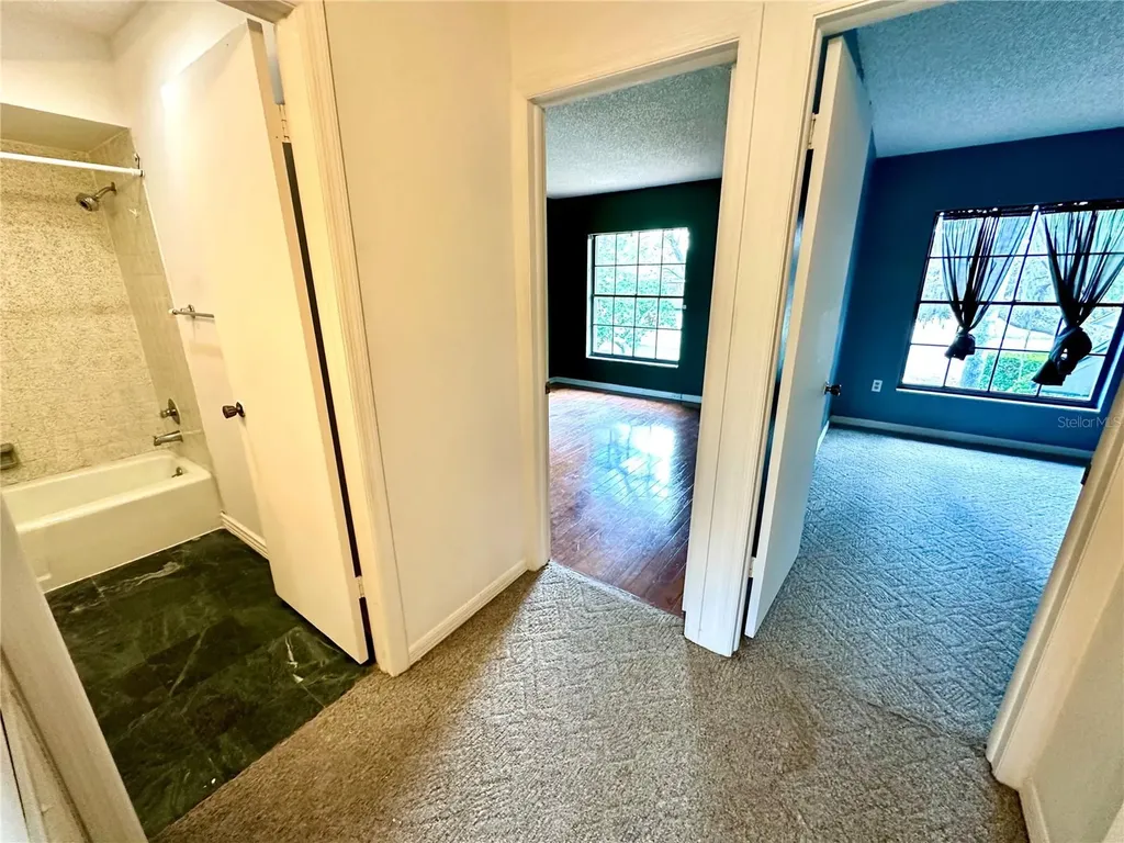 5454 Saddlebrook Way Wesley Chapel FL 33543