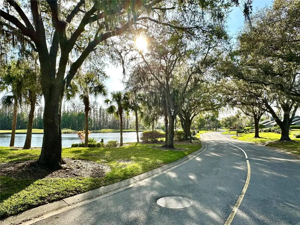 5454 Saddlebrook Way Wesley Chapel FL 33543