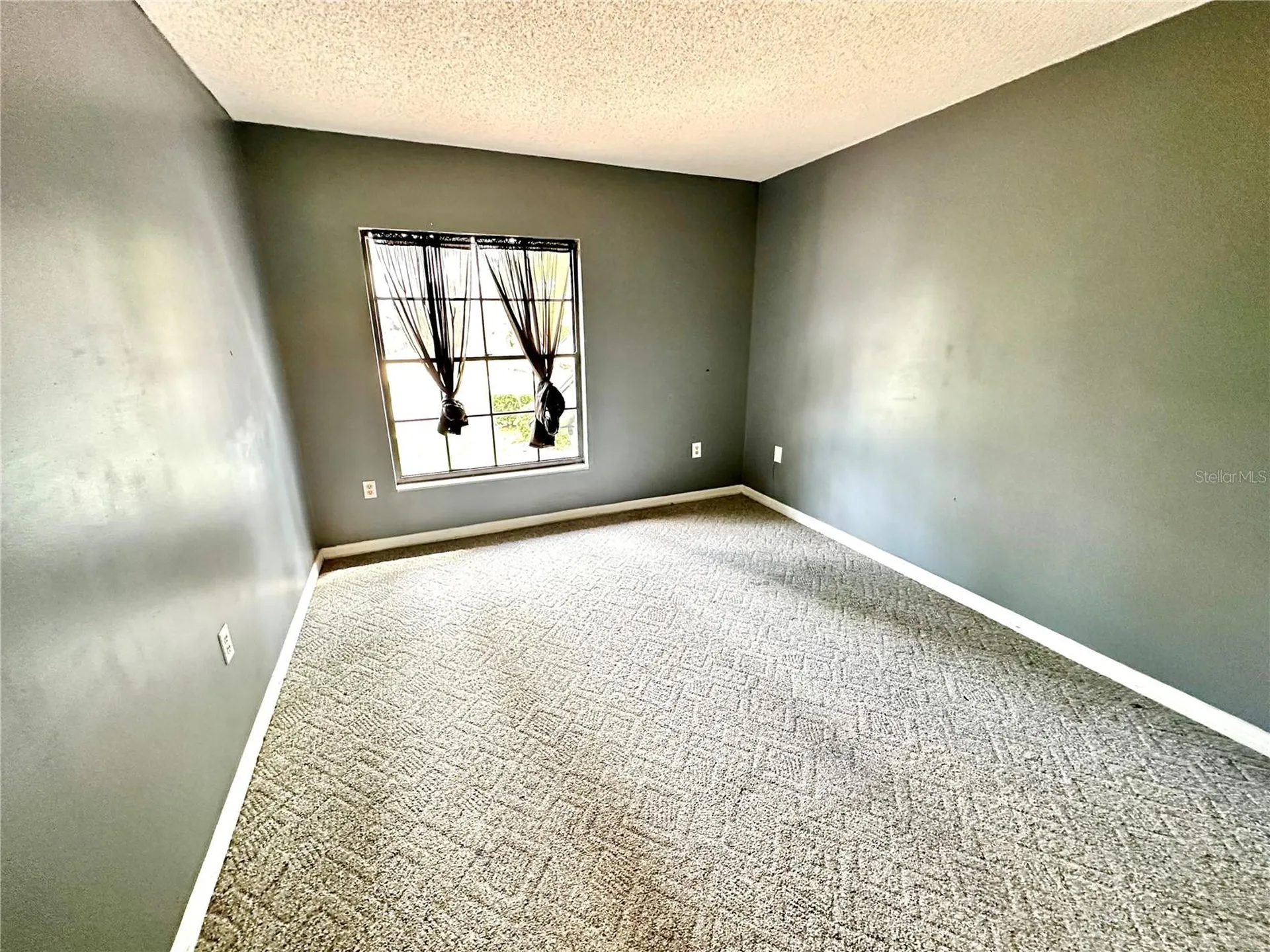 5454 Saddlebrook Way Wesley Chapel FL 33543