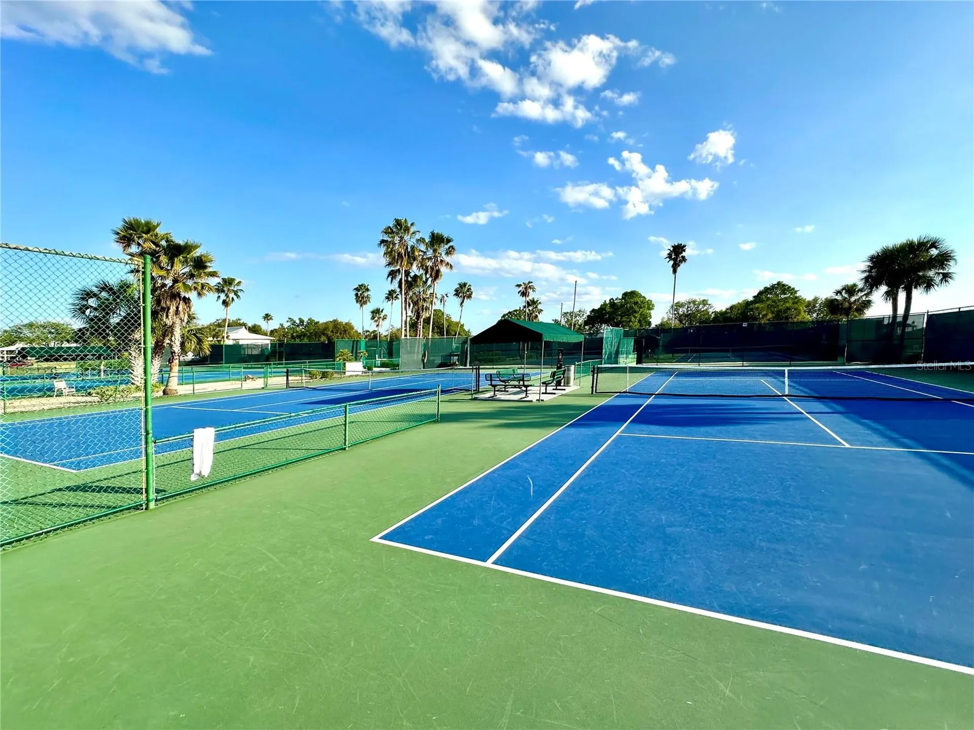 5454 Saddlebrook Way Wesley Chapel FL 33543