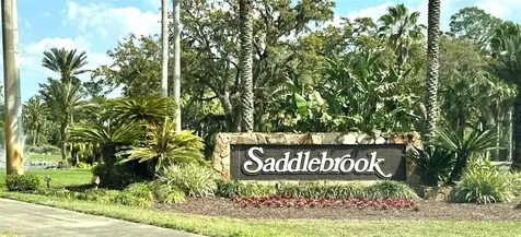 5454 Saddlebrook Way Wesley Chapel FL 33543