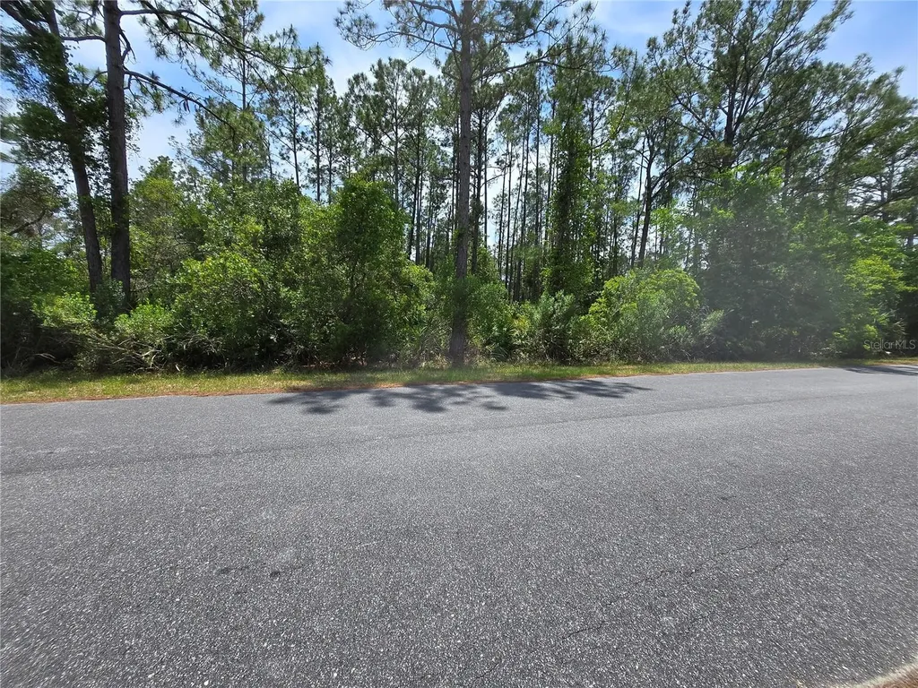 00 W Bluebell Avenue Eustis FL 32736