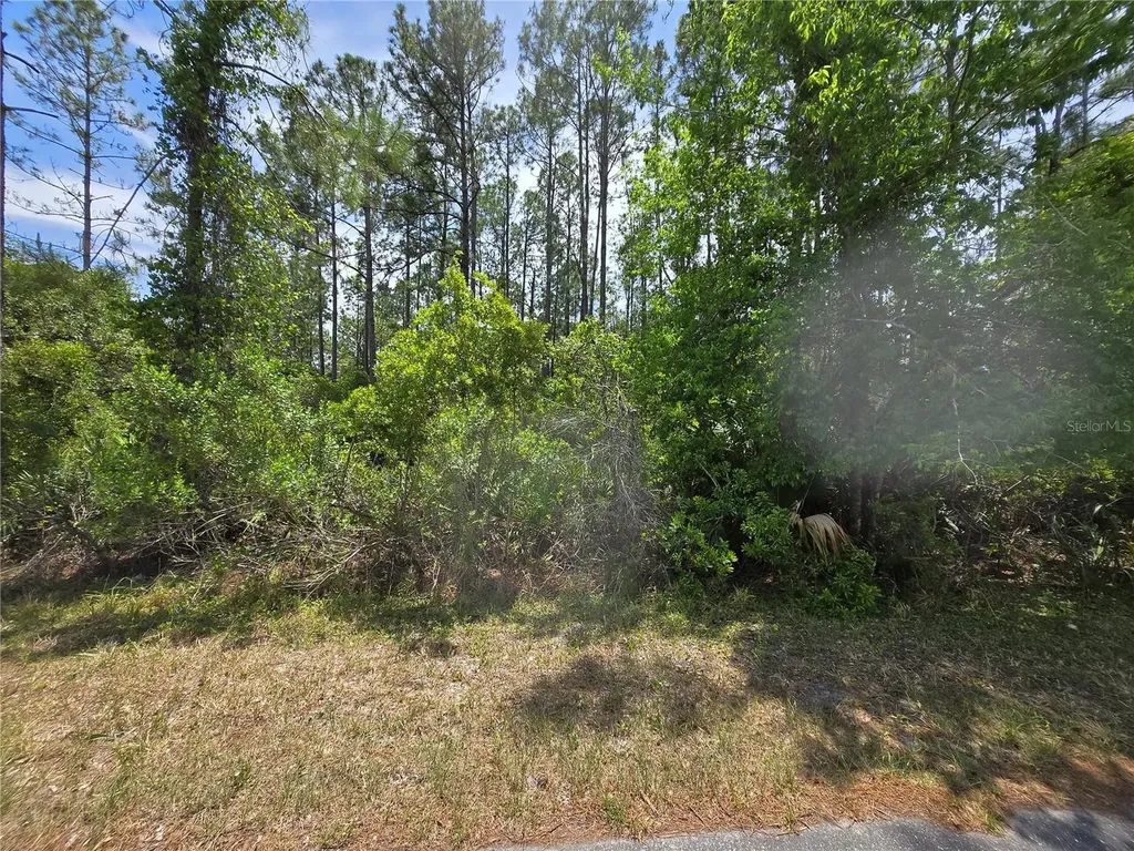 00 W Bluebell Avenue Eustis FL 32736