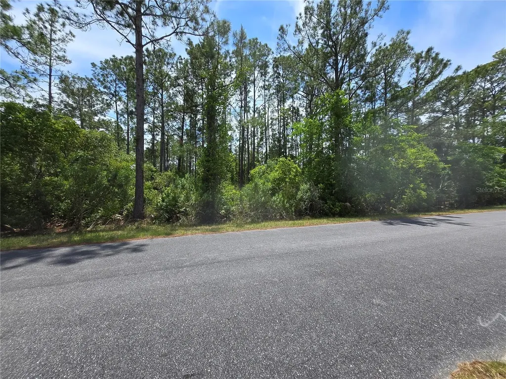 00 W Bluebell Avenue Eustis FL 32736