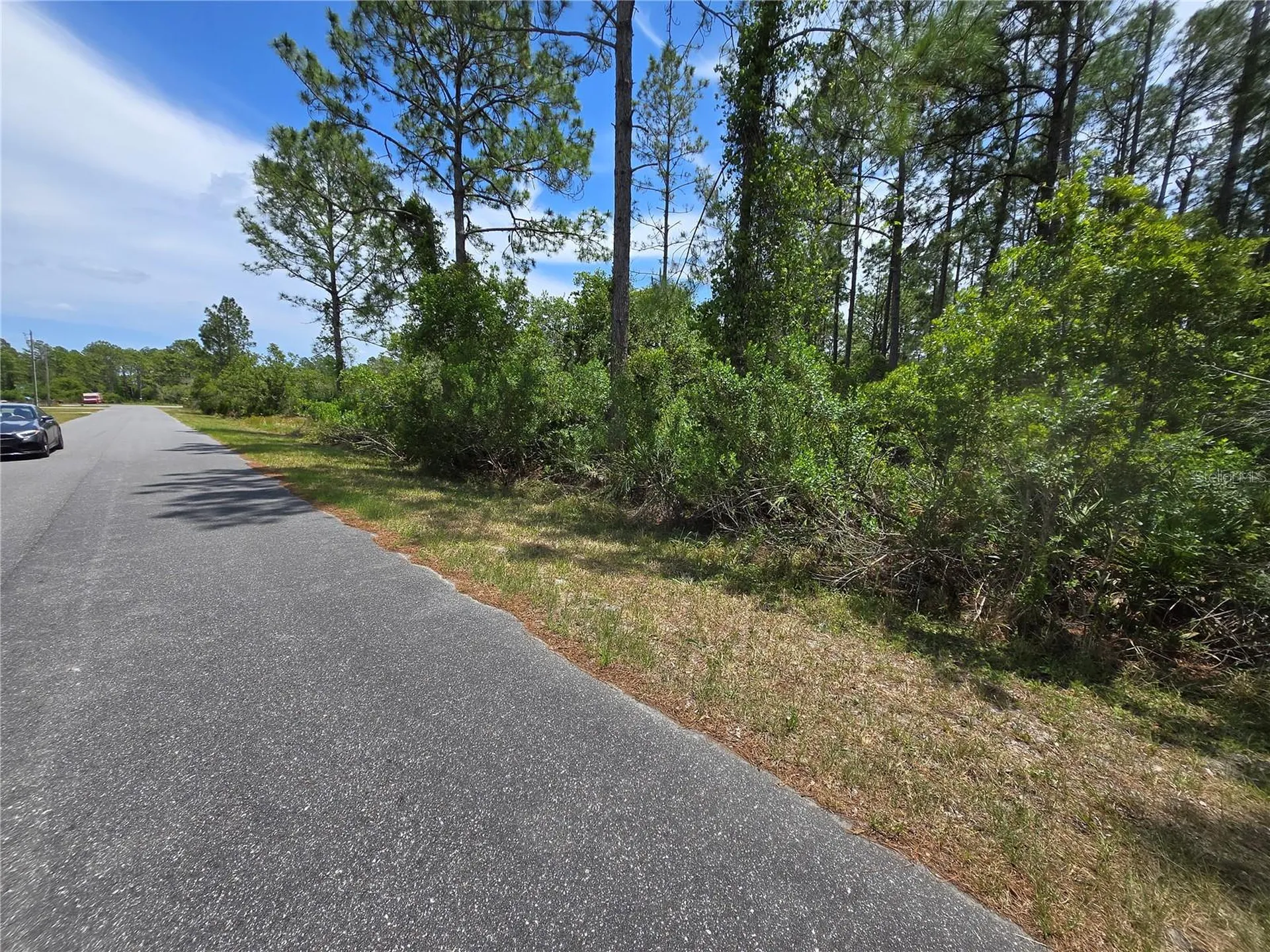 00 W Bluebell Avenue Eustis FL 32736