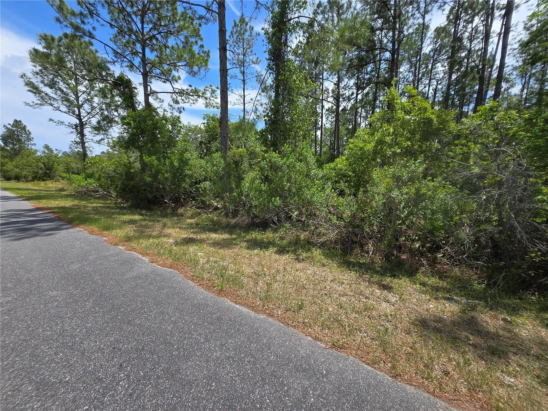 00 W Bluebell Avenue Eustis FL 32736