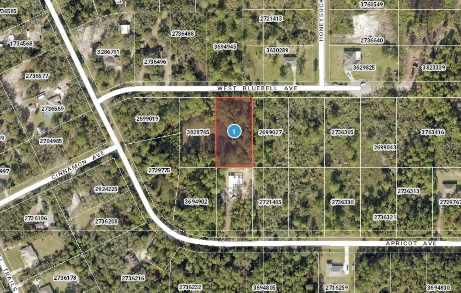 00 W Bluebell Avenue Eustis FL 32736