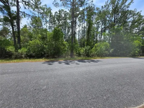 00 W Bluebell Avenue Eustis FL 32736